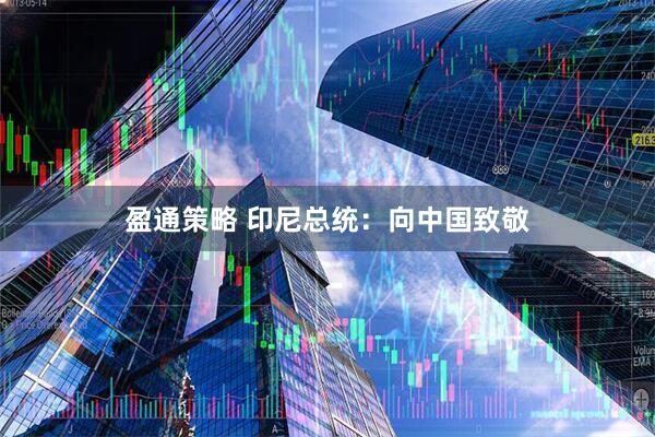 盈通策略 印尼总统：向中国致敬