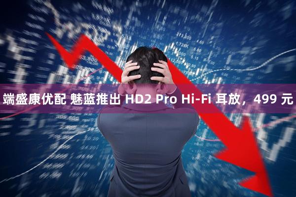 端盛康优配 魅蓝推出 HD2 Pro Hi-Fi 耳放，499 元