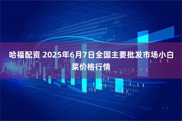 哈福配资 2025年6月7日全国主要批发市场小白菜价格行情