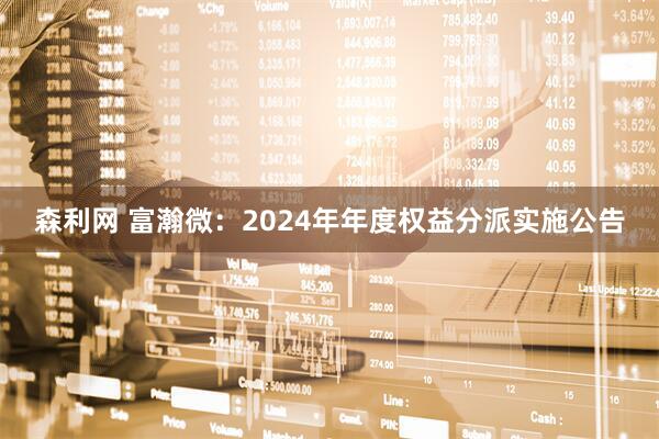 森利网 富瀚微：2024年年度权益分派实施公告