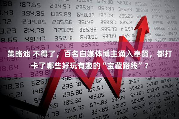 策略池 不得了，百名自媒体博主涌入奉贤，都打卡了哪些好玩有趣的“宝藏路线”？