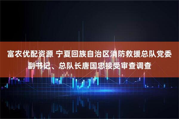 富农优配资源 宁夏回族自治区消防救援总队党委副书记、总队长唐国忠接受审查调查